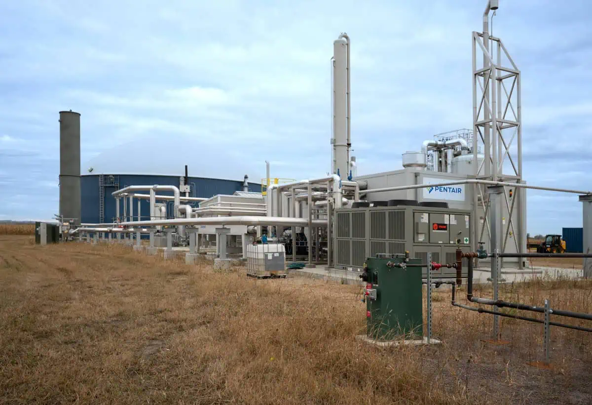VF Renewable Energy